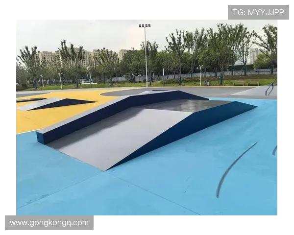 南京极限运动队在世界攀岩锦标赛中的技术表现分析与点评