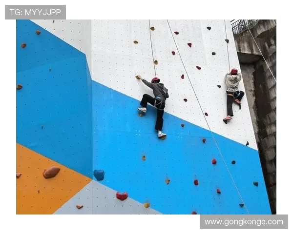 重庆飞盘队在攀岩联赛中的耐力表现分析与点评